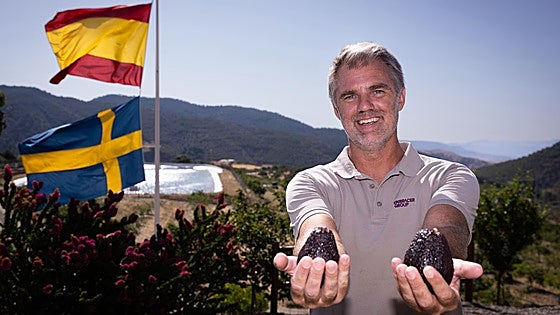 Pelle Lundborg: 'Our avocados from Carratraca are delivered directly to the Royal House of Sweden'