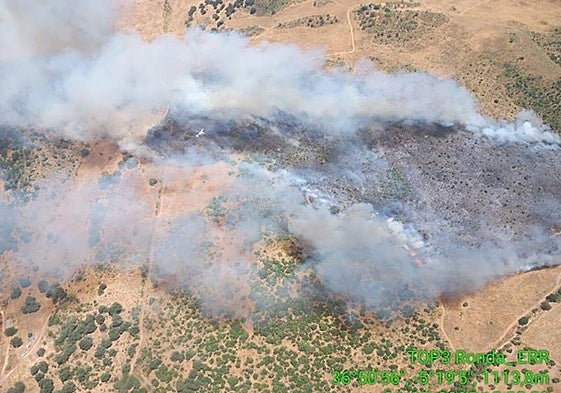 Video: Eleven aircraft and more than 50 specialists on the ground stabilise major wildfire in Montecorto