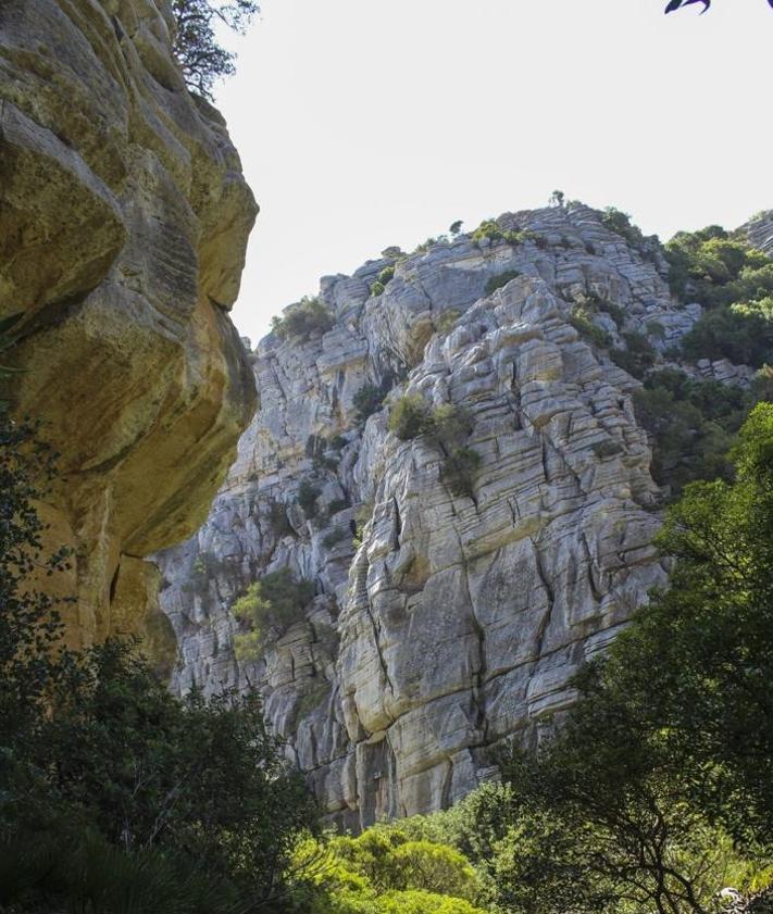 Imagen secundaria 2 - A hike to the Costa del Sol through Europe's southernmost karst landscape that ends with a visit to a spa
