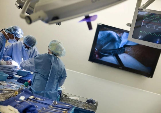A medical team performs a kidney transplant operation.