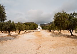 The work has been carried out in the Olivar Manantiales and Ermita de San Miguel area.