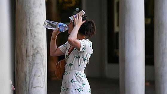 Warm 'terral' wind set to blow in Malaga this weekend after another torrid night on the Costa del Sol