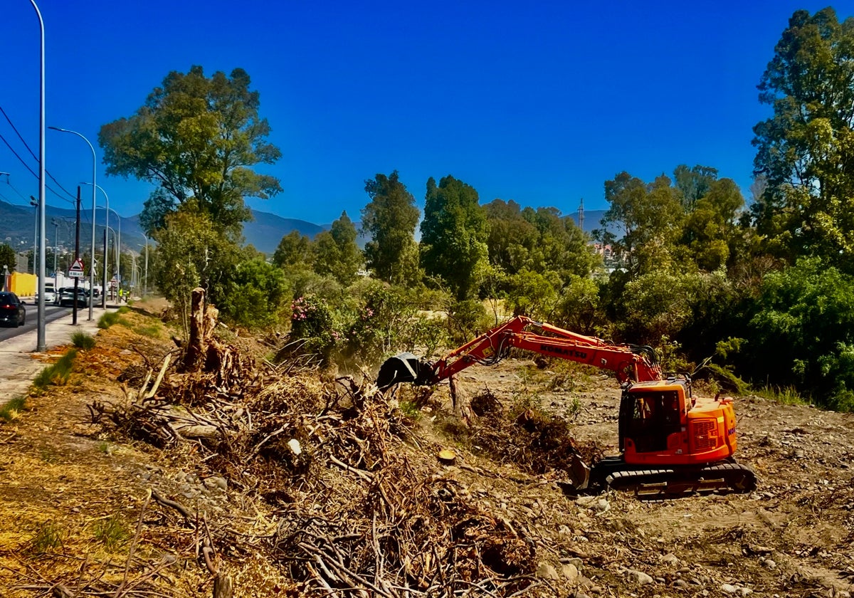 The work to renaturalise the Guadaiza river began with the cleaning of the riverbed and the elimination of invasive species.