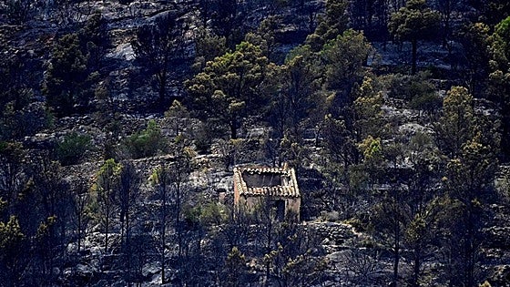 Member of firefighting team dies while working to extinguish Tarragona wildfire in Spain