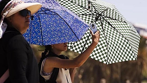 Aemet activates yellow alert for temperatures of up to 39C in Malaga province
