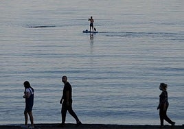 Water quality at city beaches declared 'excellent' by University of Malaga study