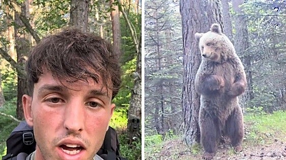 Man left 'speechless' after capturing amazing footage of wild brown bears in Spain