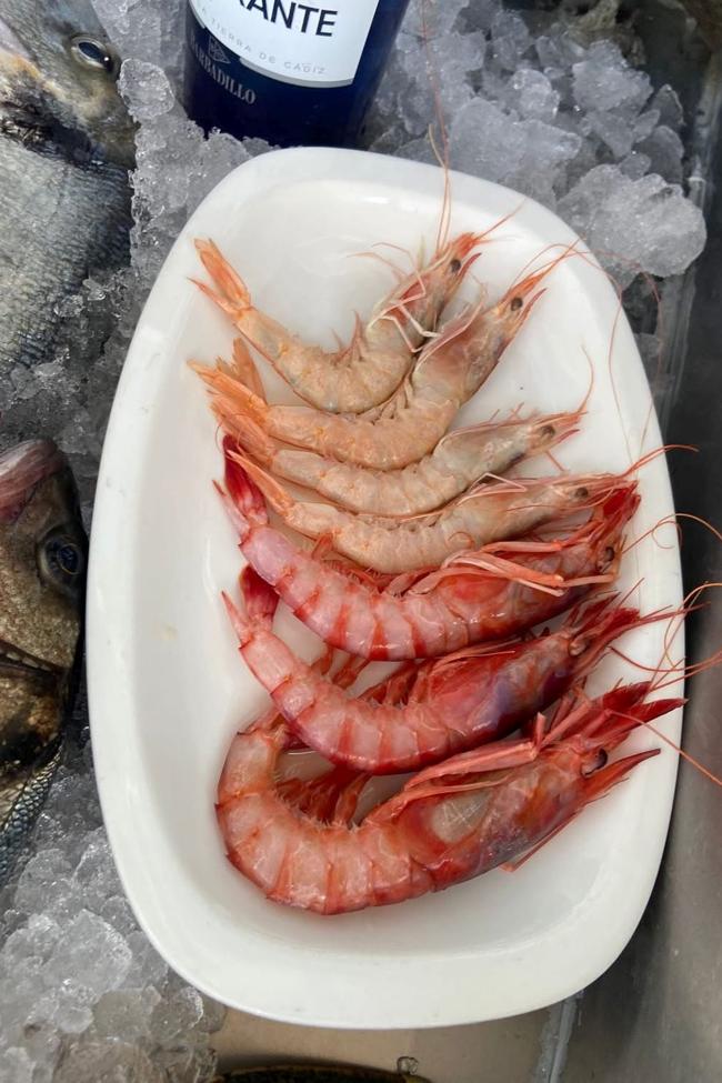 The exceptional quality of its seafood products is one of the great attractions of Chiringuito Dieguichi.