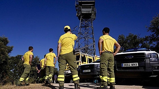 Sheep as firefighters and portable transmitters: the formula for reducing wildfires in Casa de Campo, Madrid