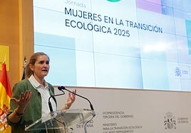 Minister for ecological transition Sara Aagesen during the presentation of the study.