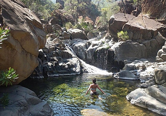 Seven things to see and do in Estepona on the Costa del Sol this summer