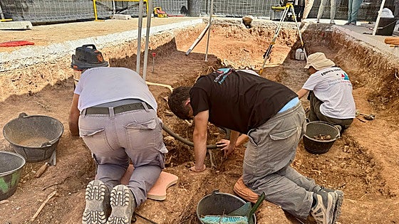 First mass grave exhumations in Malaga town reveal more victims and high percentage of females