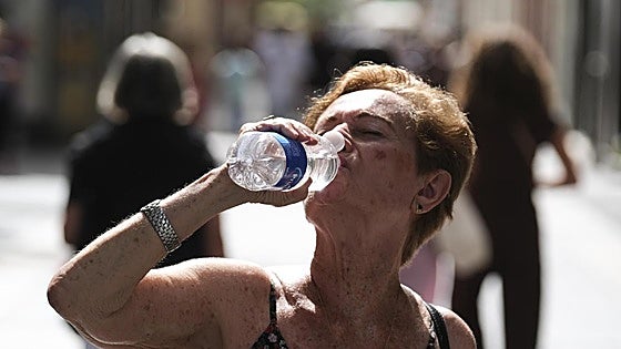 Stifling heat returns to inland Malaga and the coast: Aemet warns of highs of 43C in these areas