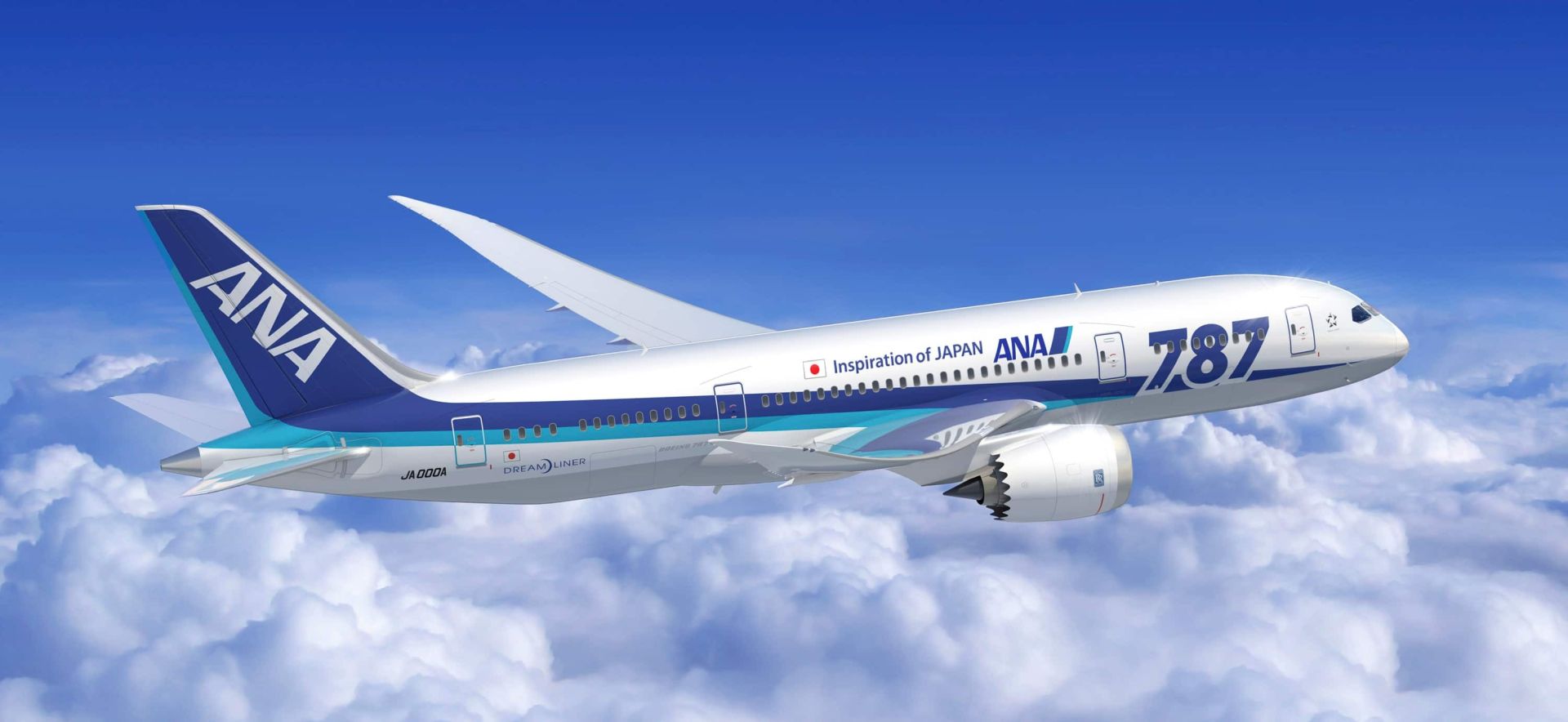 File image of an aircraft in the All Nippon Airways fleet.