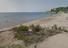 Salou's Llarga beach.