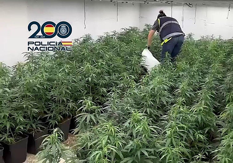 Police seized a firearm and three detonators, 11 high-end vehicles, six luxury watches and tools related to criminal activities.