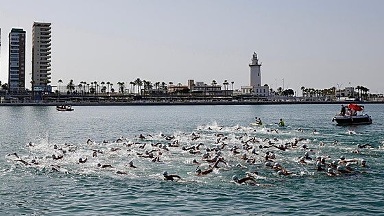 Swimmers cross Malaga port in open water race