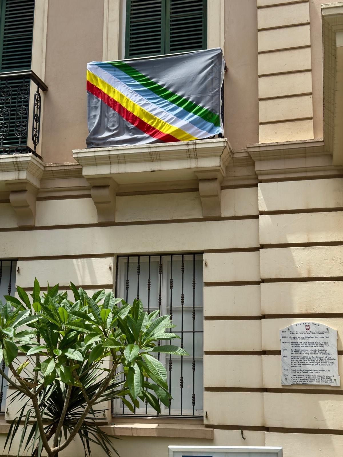 Flags celebrate Disability Pride month