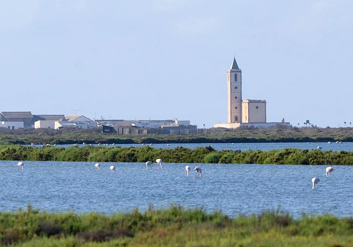This year the wetlands of Cabo de Gata are shining with water and numerous flamingos.