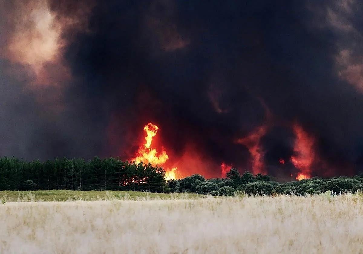 The flames advancing near the town of Herreros de Jamuz in León.