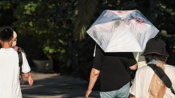 Long heatwave reaches Malaga province: amber warning for maximum temperatures of up to 42C this weekend