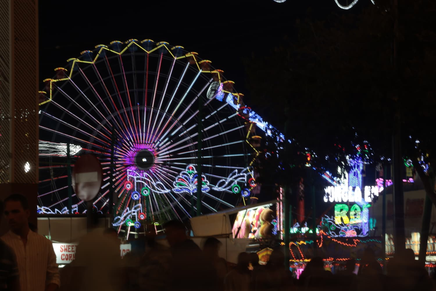 Malaga&#039;s spectacular summer feria 2025, in pictures