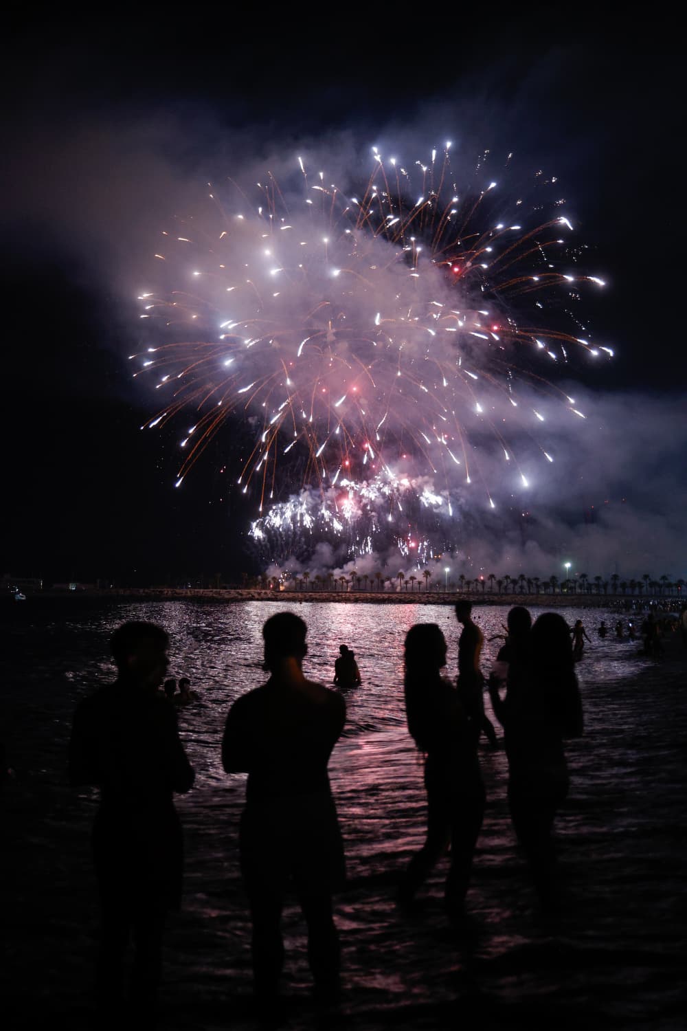 Malaga kicks off eight days of partying with fireworks and drone show
