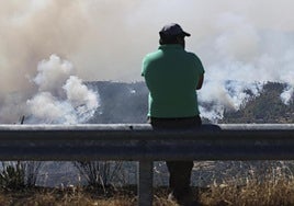 This Tuesday in Portugal, a local resident watches plumes of smoke from a forest fire in the municipality of Pampilhosa da Serra.