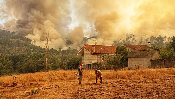 Map of wildfires in Spain: surface area burned this year is largest recorded in the last 30 years