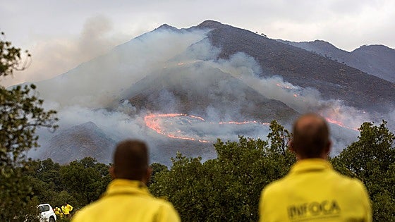 Vast majority of forest fires in Malaga province are controlled quickly due to rapid response of region's Plan Infoca brigade