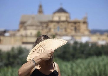 Third longest heatwave on record in Spain leaves 1,149 people dead