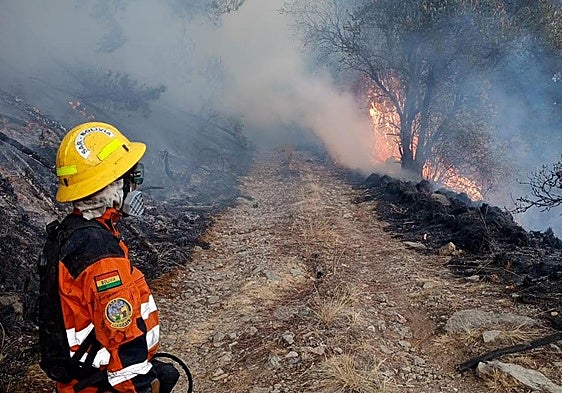 Forest fires advance four times slower since end of heatwave in Spain