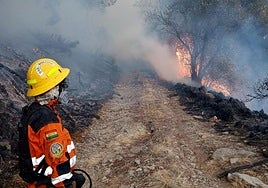 The forest fire in the Montes del Courel near Cruz de Outeiro (Lugo).