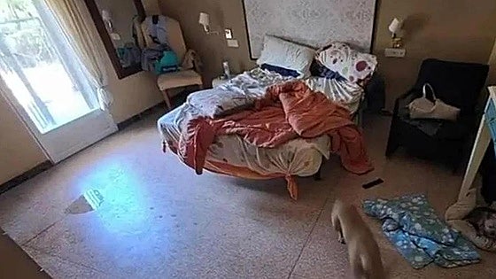 Death of young man with cerebral palsy leads to discovery of illegal care home in southeast of Spain