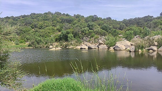 Water reserves drop below 50% across Andalucía region's main supply reservoirs