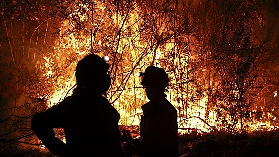 Spain loses almost 3,000 firefighters in one year despite increase in number of more virulent fires