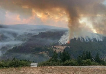 Spanish government declares 121 areas in 16 regions as 'disaster zones'