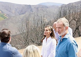 The King and Queen on Wednesday during their visit to the Casa del Parque Natural del Lago de Sanabria to see first-hand the devastation wreaked by the forest fires.