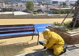 Malaga beekeepers travel to Cyprus in search of solutions to defend their hives