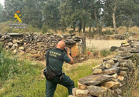 The Guardia Civil are investigating the origin of one of the fires that devastated Castilla y León this summer.
