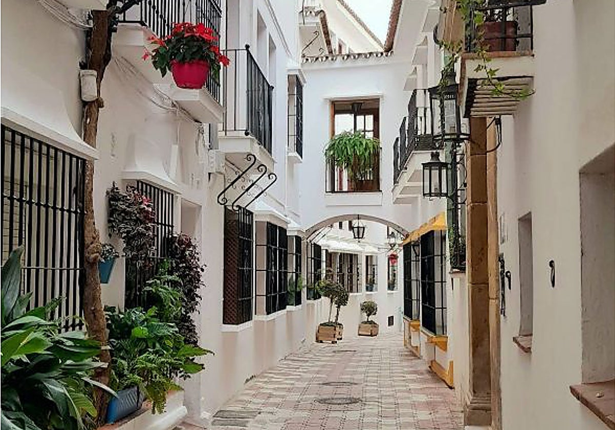 View of Calle Caballeros and the left side of the town hall building.