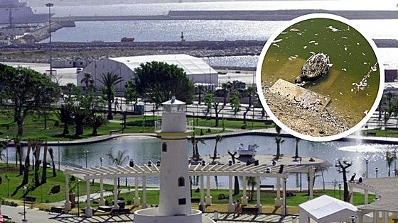 Park in capital of Costa del Sol closed to public while death of around 20 birds is investigated