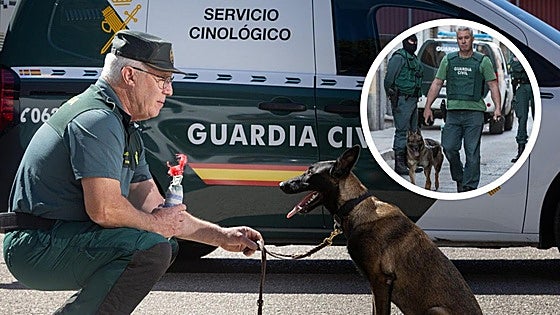 Police dog handler's emotional retirement after 45 years with the Guardia Civil in Spain
