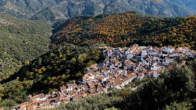 No-confidence vote fails in Serranía de Ronda village but mayor announces he will step down in December