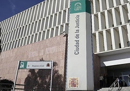 Number of 'sophisticated' criminal gangs and drug trafficking networks operating on the Costa del Sol rockets