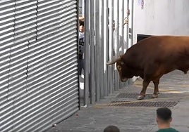 Man dies after being gored by bull during traditional festivities in the south of Spain