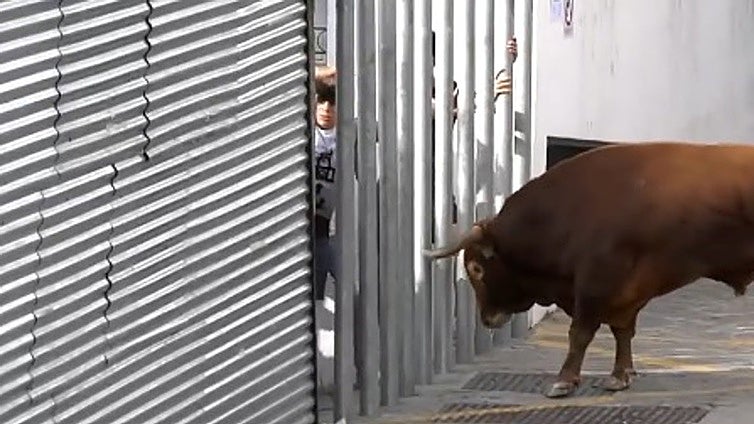 Man dies after being gored by bull during traditional festivities in the south of Spain