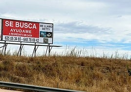 24 square metre billboard asking for help in locating Betty.