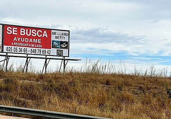 Heart-broken family unveils massive billboard to help find missing small dog in Malaga town
