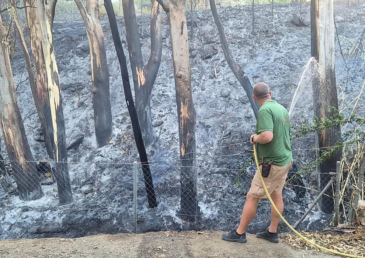 Imagen secundaria 1 - Major blaze in Benalmádena is stabilised and Costa del Sol train service restored after evacuation of 200 people from their homes
